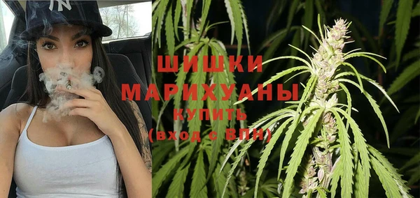 ГАЛЛЮЦИНОГЕННЫЕ ГРИБЫ Алексин