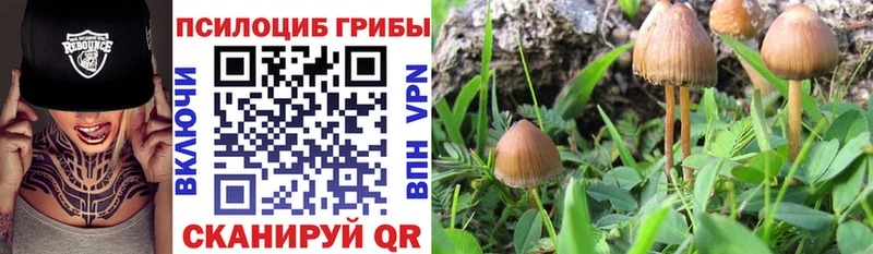 Псилоцибиновые грибы ЛСД  Киселёвск 